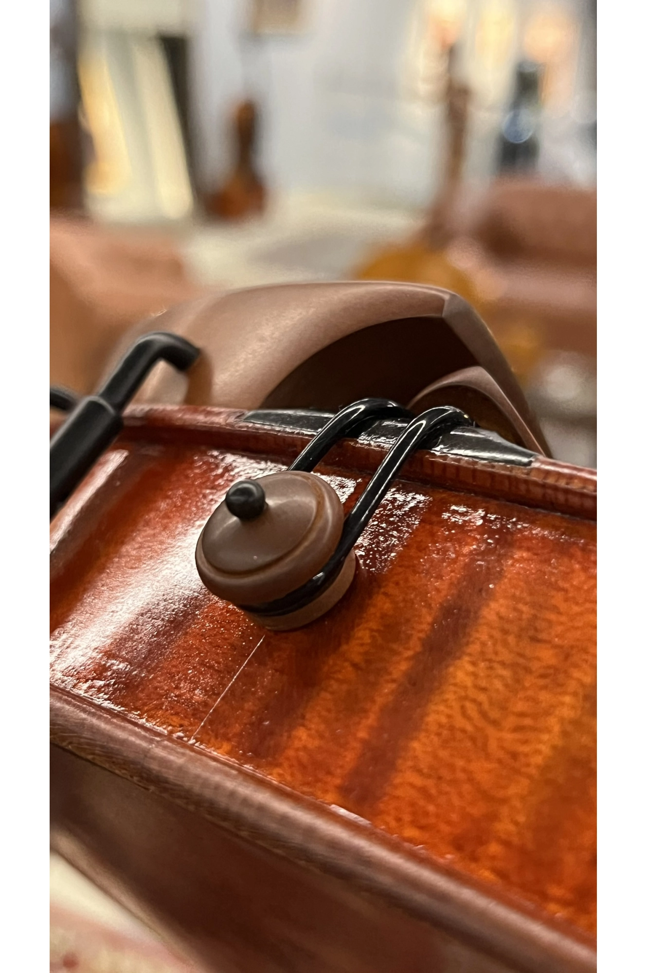 Botão Violino Boxwood Hill Black Antoni Marsale