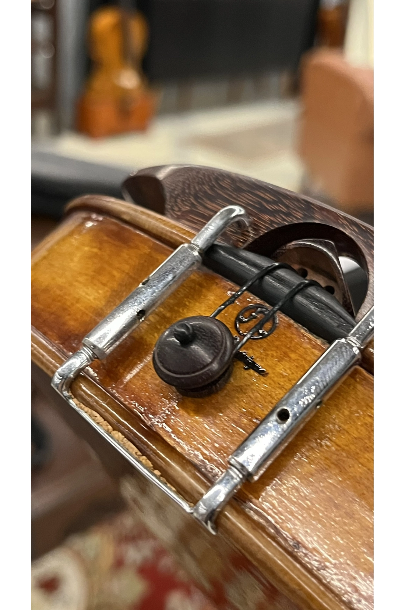 Botão Violino Tamarindo Hill Black Antoni Marsale