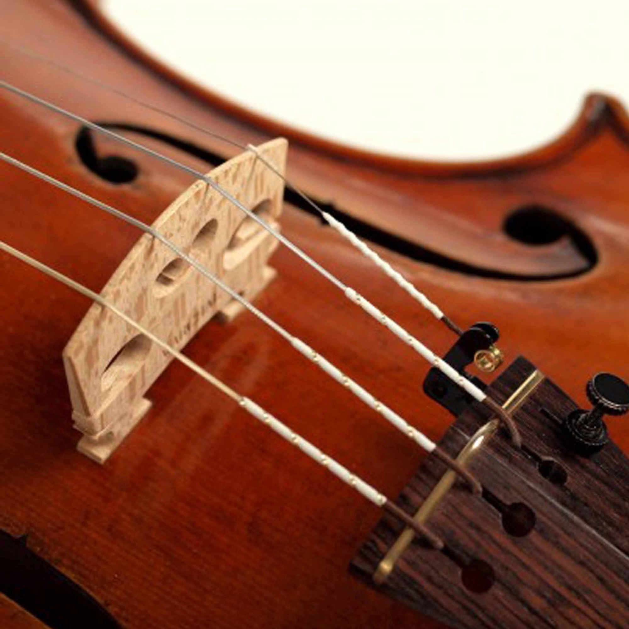 Corda Viola Warchal Amber 1ª La A Sintética 711S - avulsa
