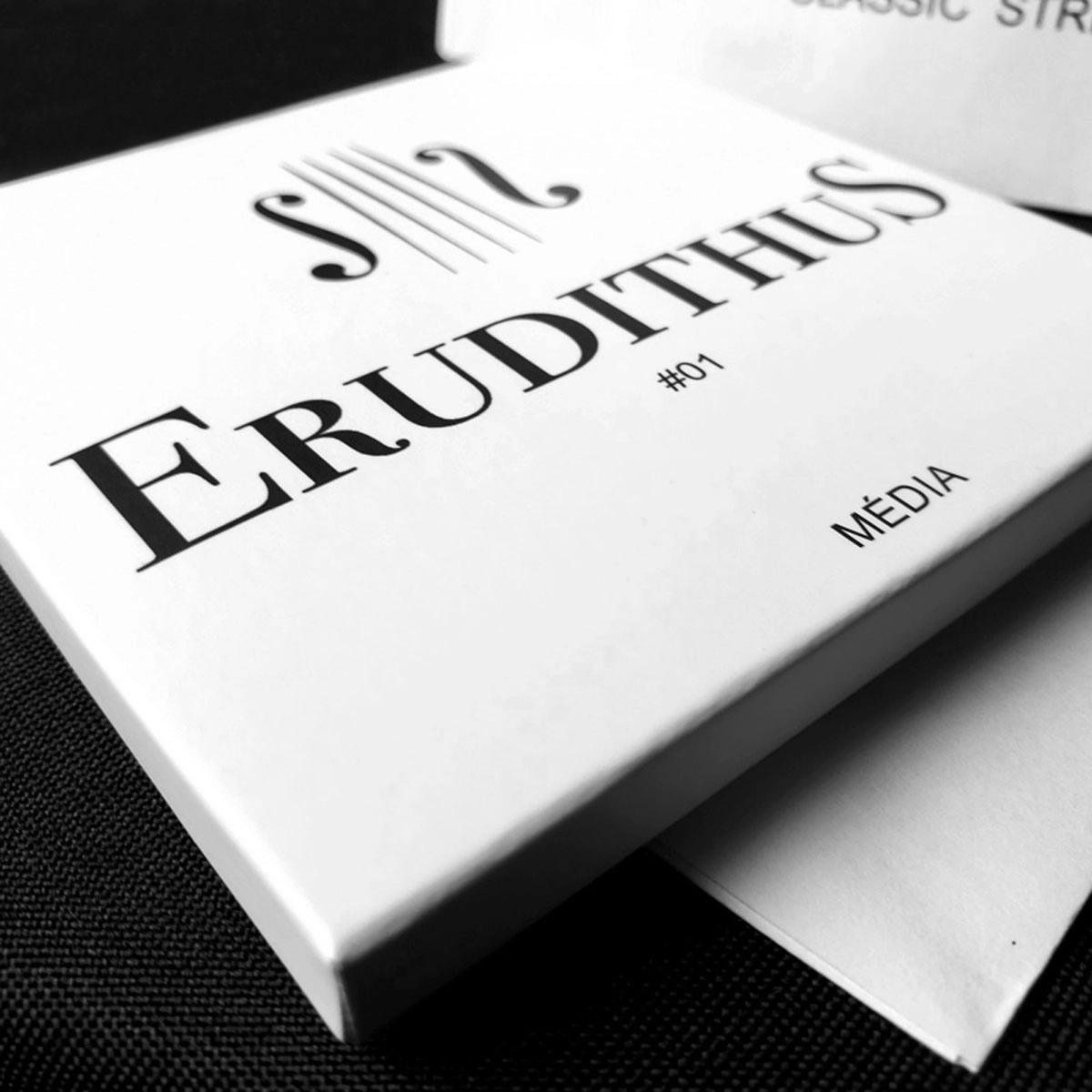 Encordoamento Violino Erudithus #01 1/8