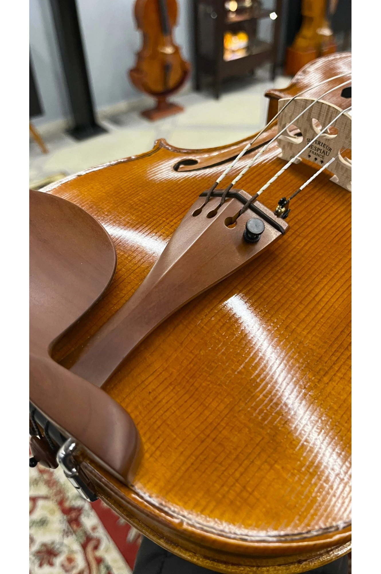 Estandarte Violino Boxwood Hill Black Antoni Marsale