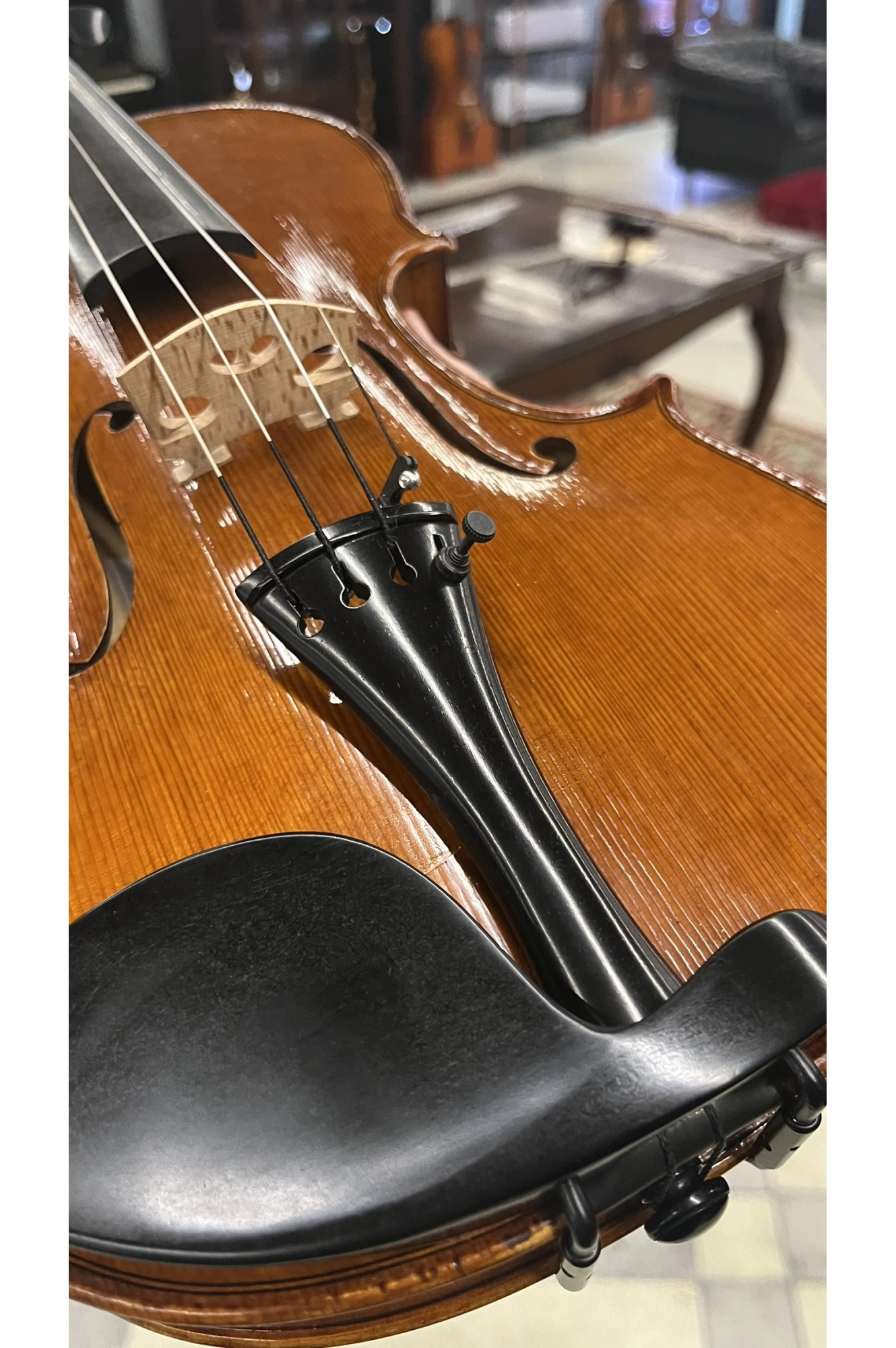 Estandarte Violino Ébano French Antoni Marsale 4/4