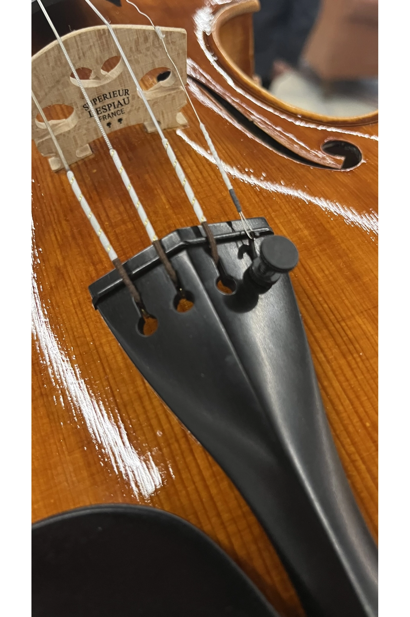 Estandarte Violino Ébano Hill Black Antoni Marsale 4/4 10,5cm