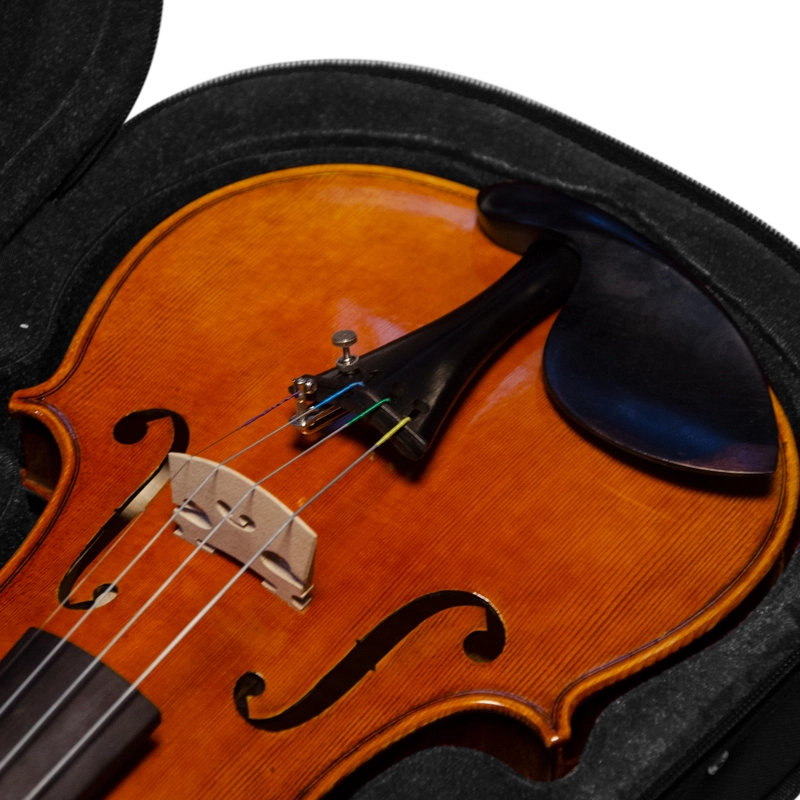  Estojo Case Violino Tarttan Gota Preto 4/4