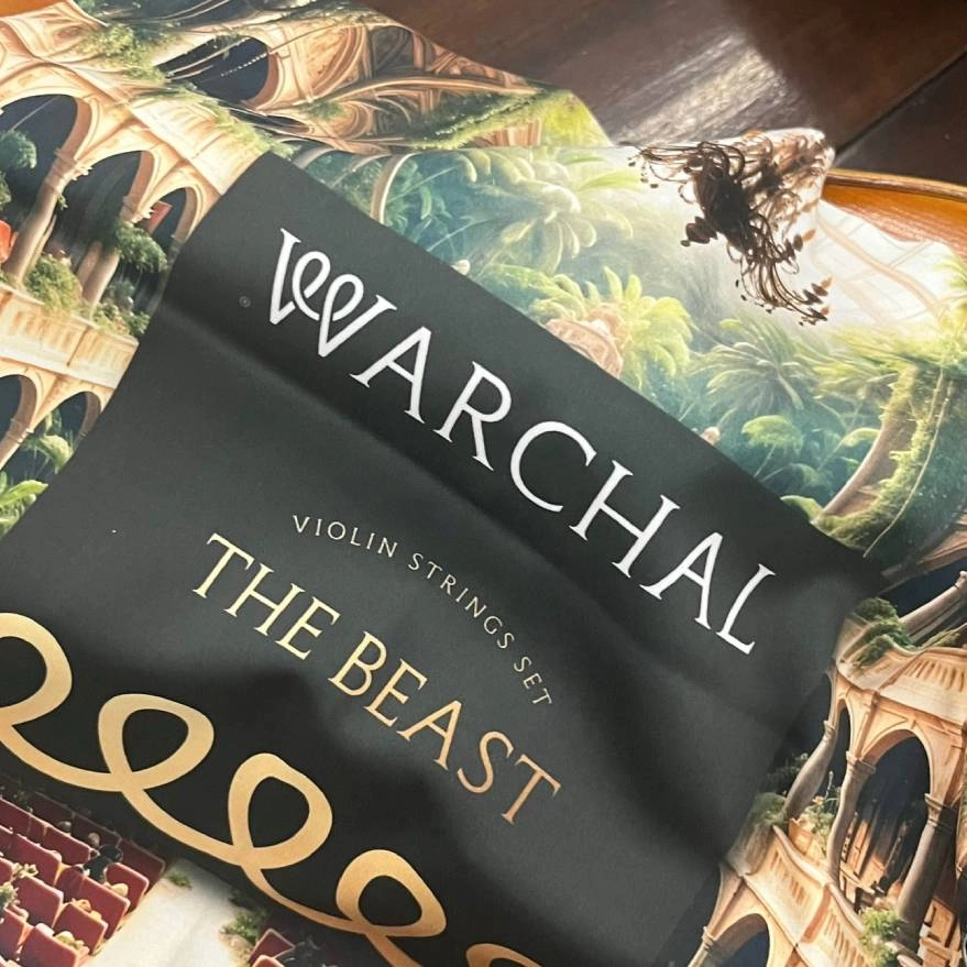 Flanela de Microfibra Warchal 40x40 cm