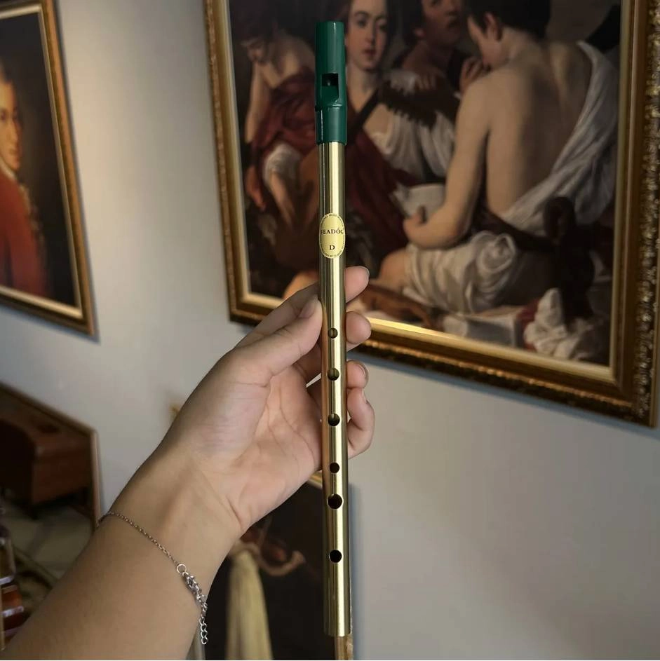Flauta Irlandesa Celta Feadóg Re D Escovada