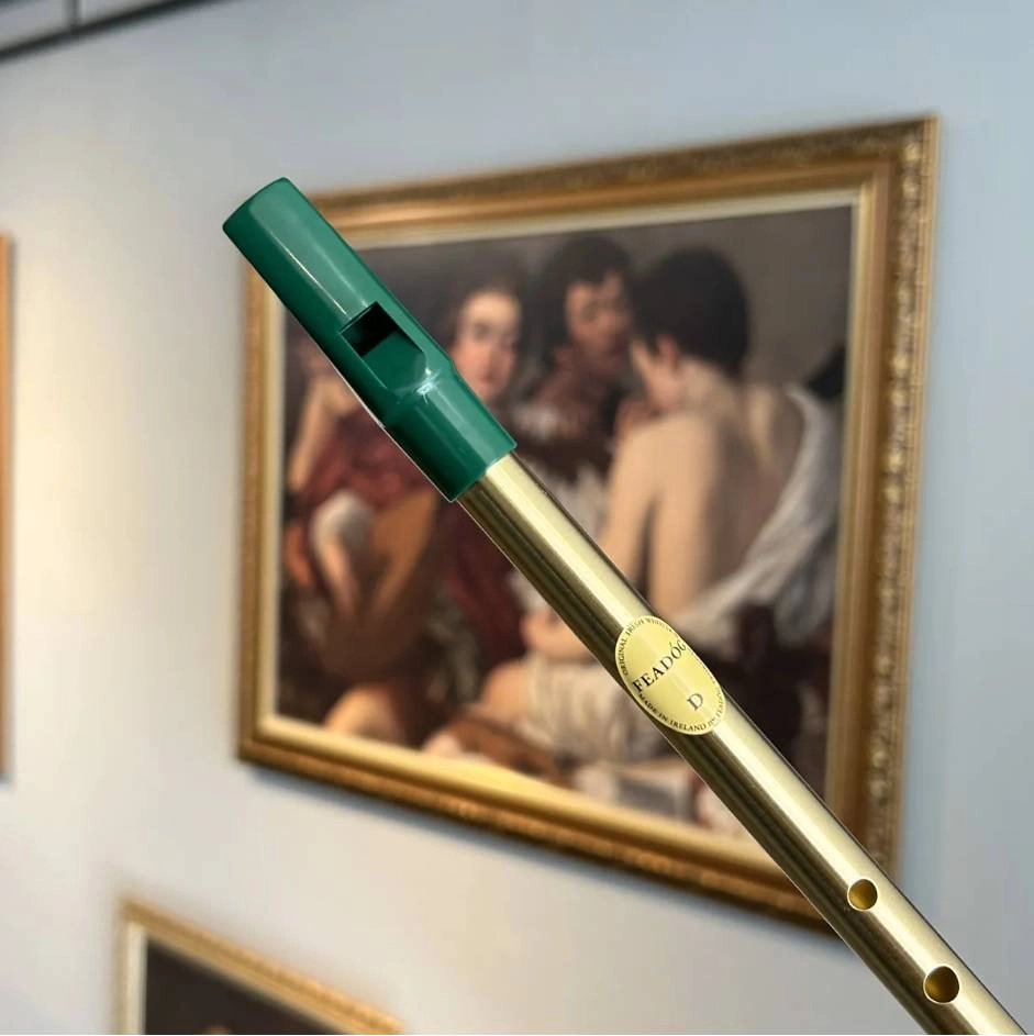 Flauta Irlandesa Celta Feadóg Re D Escovada