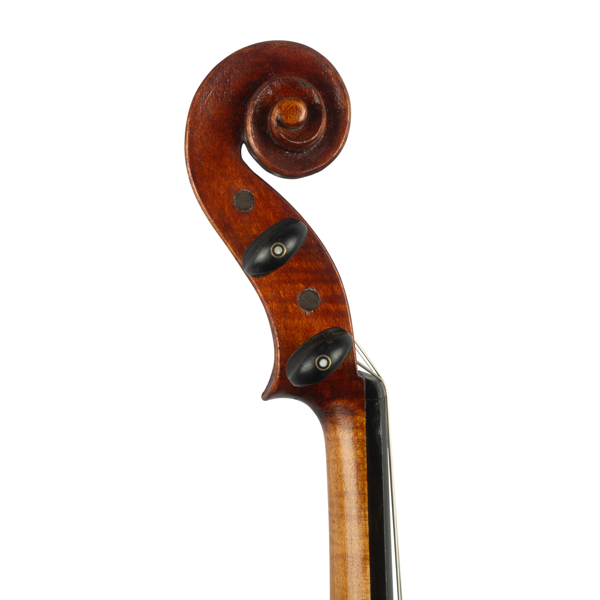 Viola Alberto Vicente 2025 41,7 cm n625