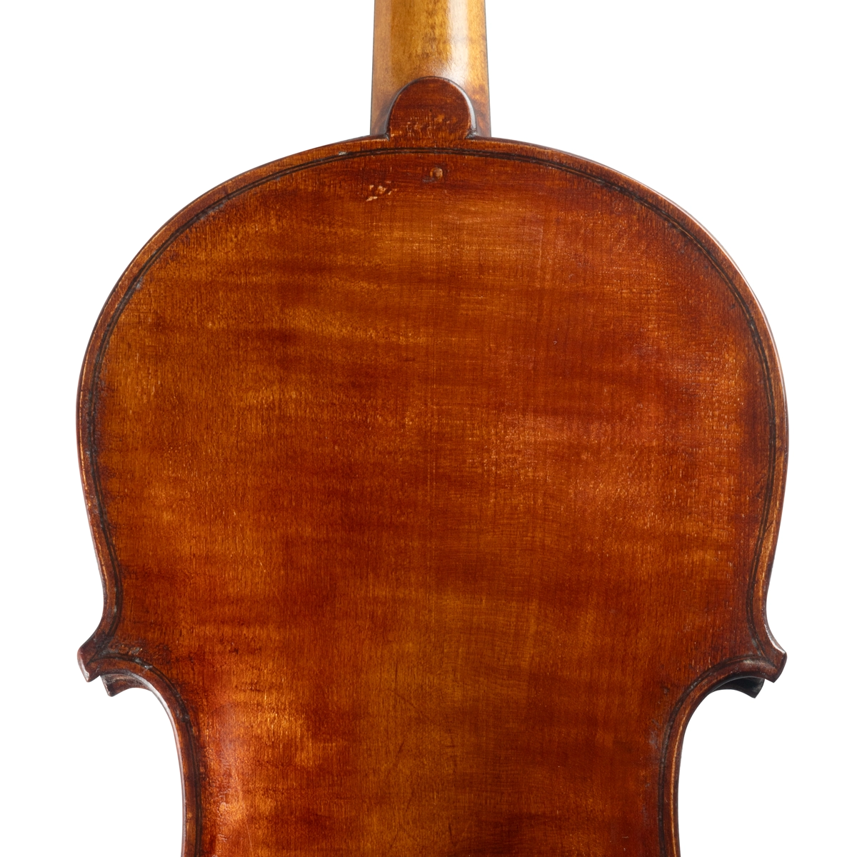 Viola Alberto Vicente 2025 41,7 cm n625