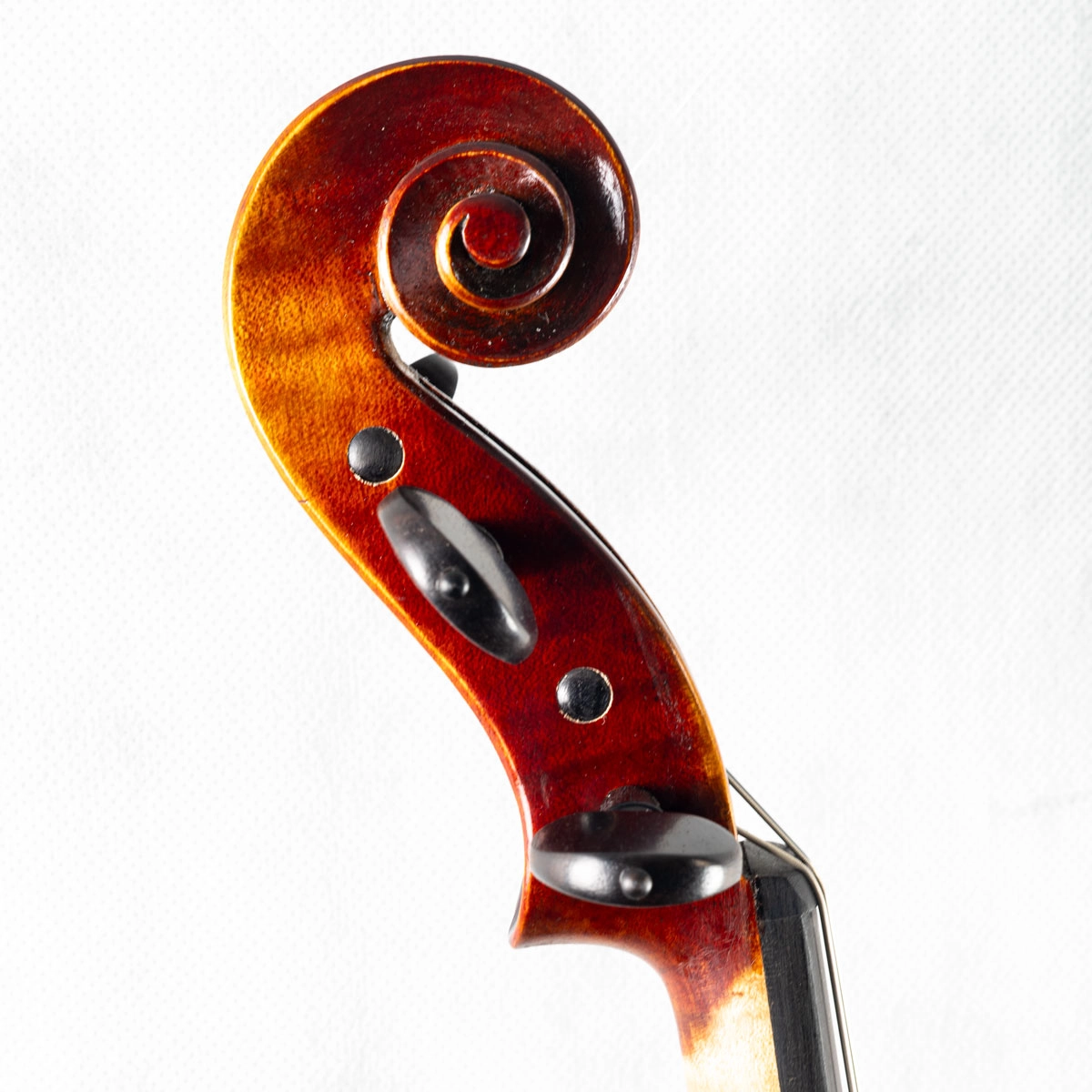  Viola Antoni Marsale Oficina 2024 40,8cm n455