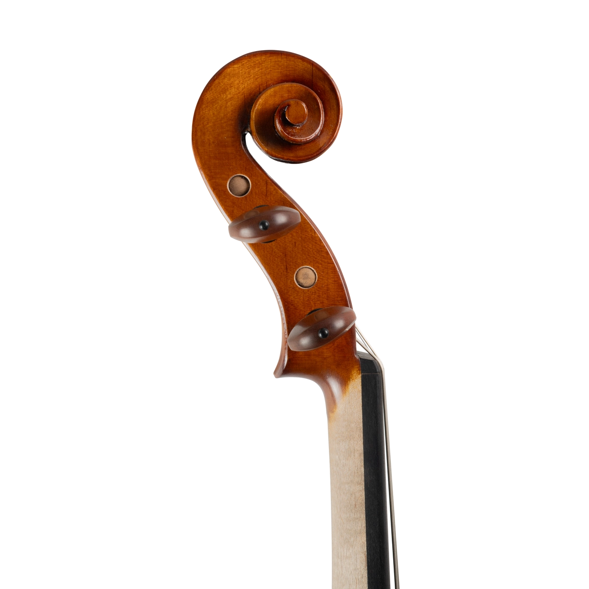 Viola Antoni Marsale Oficina 2024 n561 Grau B 40,5cm