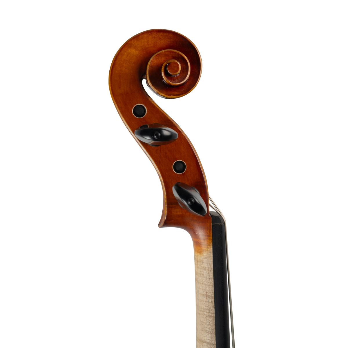 Viola Antoni Marsale Oficina 2024 n562 Grau B 40,5cm