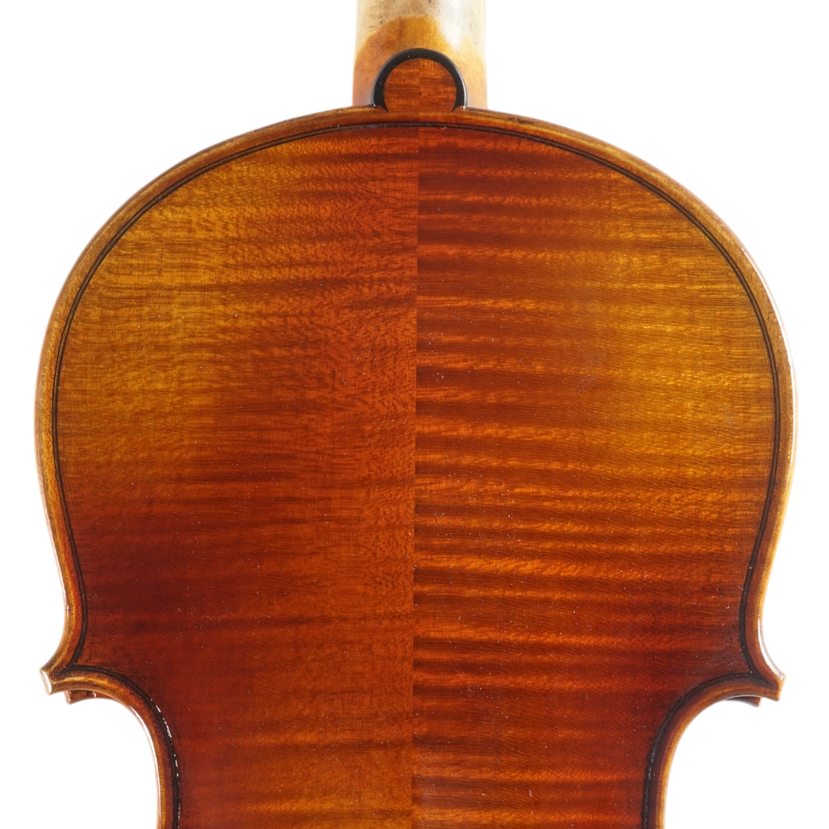 Viola Antoni Marsale Oficina 2025 n673 Grau A 40,7 cm