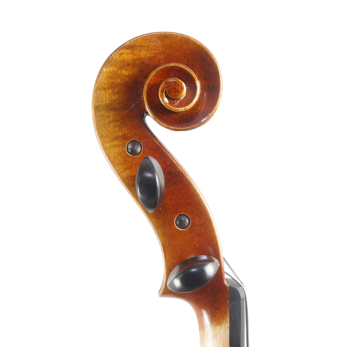 Viola Antoni Marsale Oficina 2025 n673 Grau A 40,7 cm