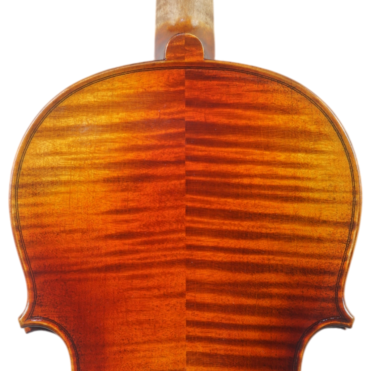 Viola Antoni Marsale Oficina 2025 n732 Grau A 42 cm