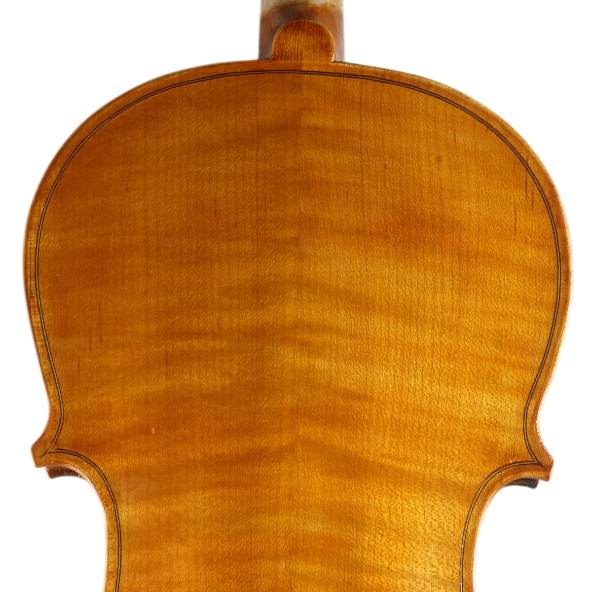 Viola de Arco Marsale Brasiliano 2025 n645 41,8 cm