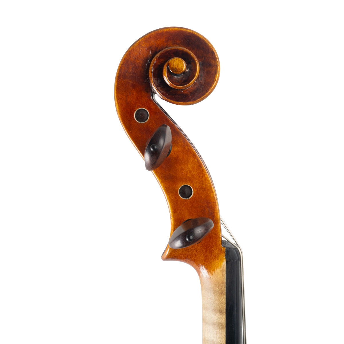  Viola Felipe Rodrigues 2024 Andrea Guarneri 41,7cm n611