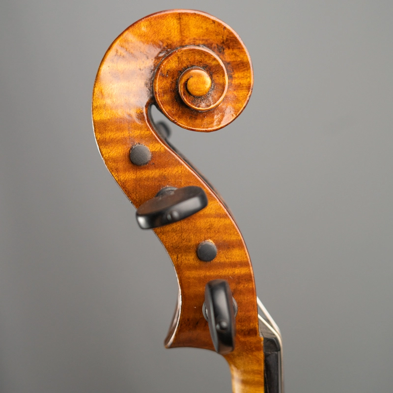 Viola Julio Cesar Vesper 2017 39,2cm n301