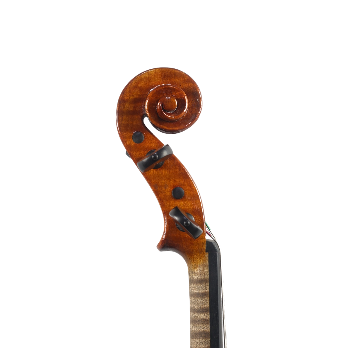  Viola Luthier Fabio Vanini 2013 IIzuka 43 cm n755