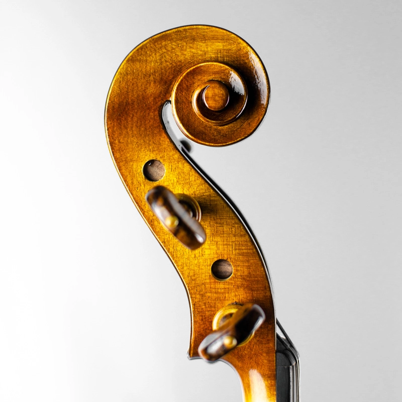 Viola Rolim J A Francis Orchestra 2022 IIzuka 42 n09 Usada
