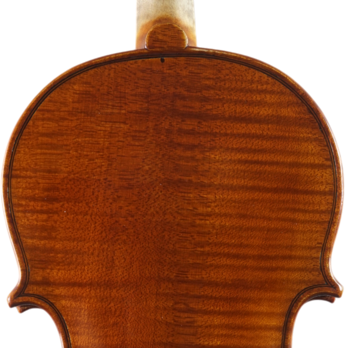 Violino Alcebíades Paes Neto 2025 n648