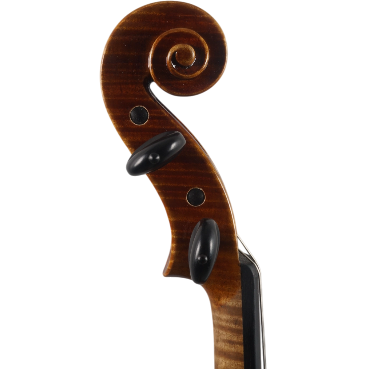  Violino Alfio Bottechia 2025 n627