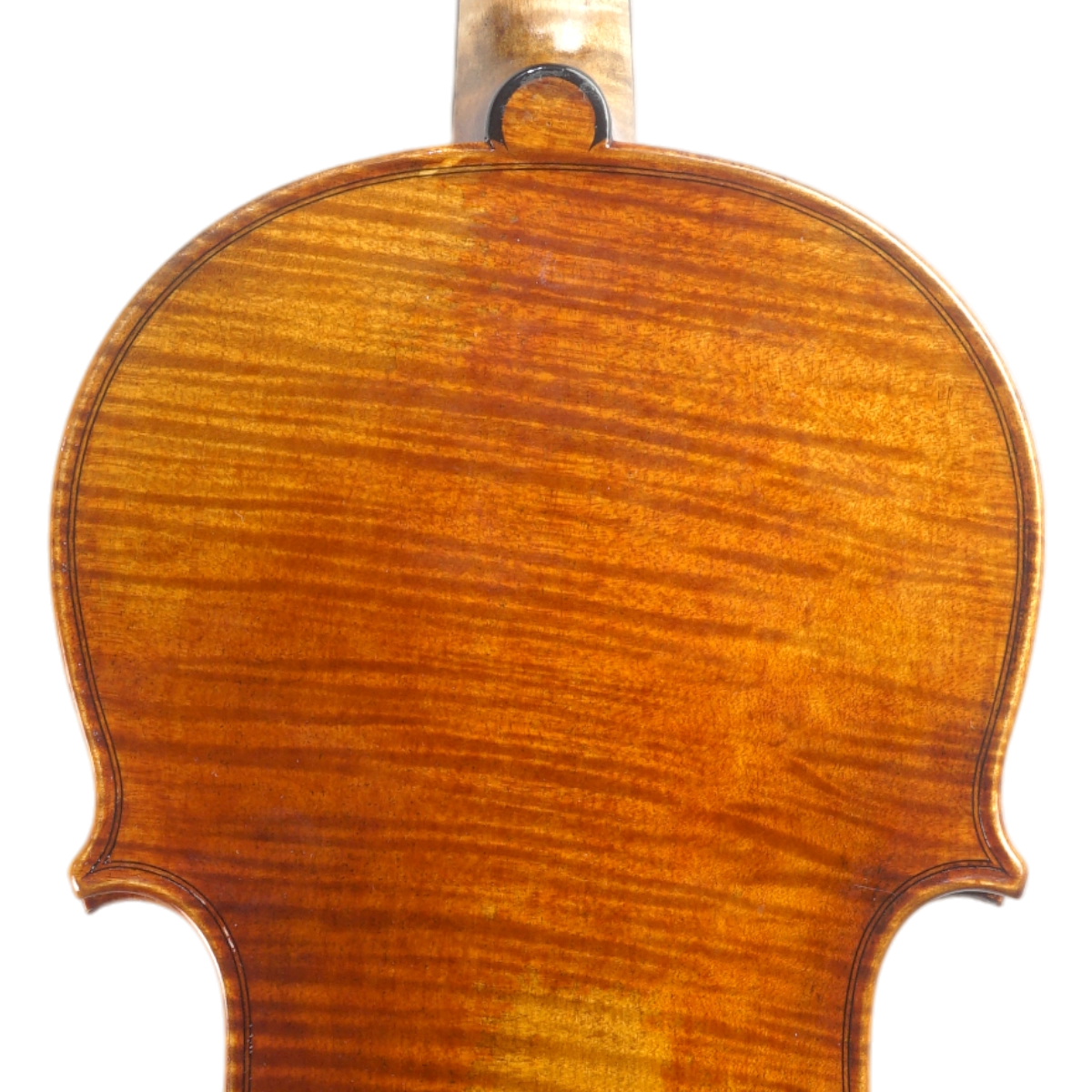 Violino Alfio Bottechia 2025 n627