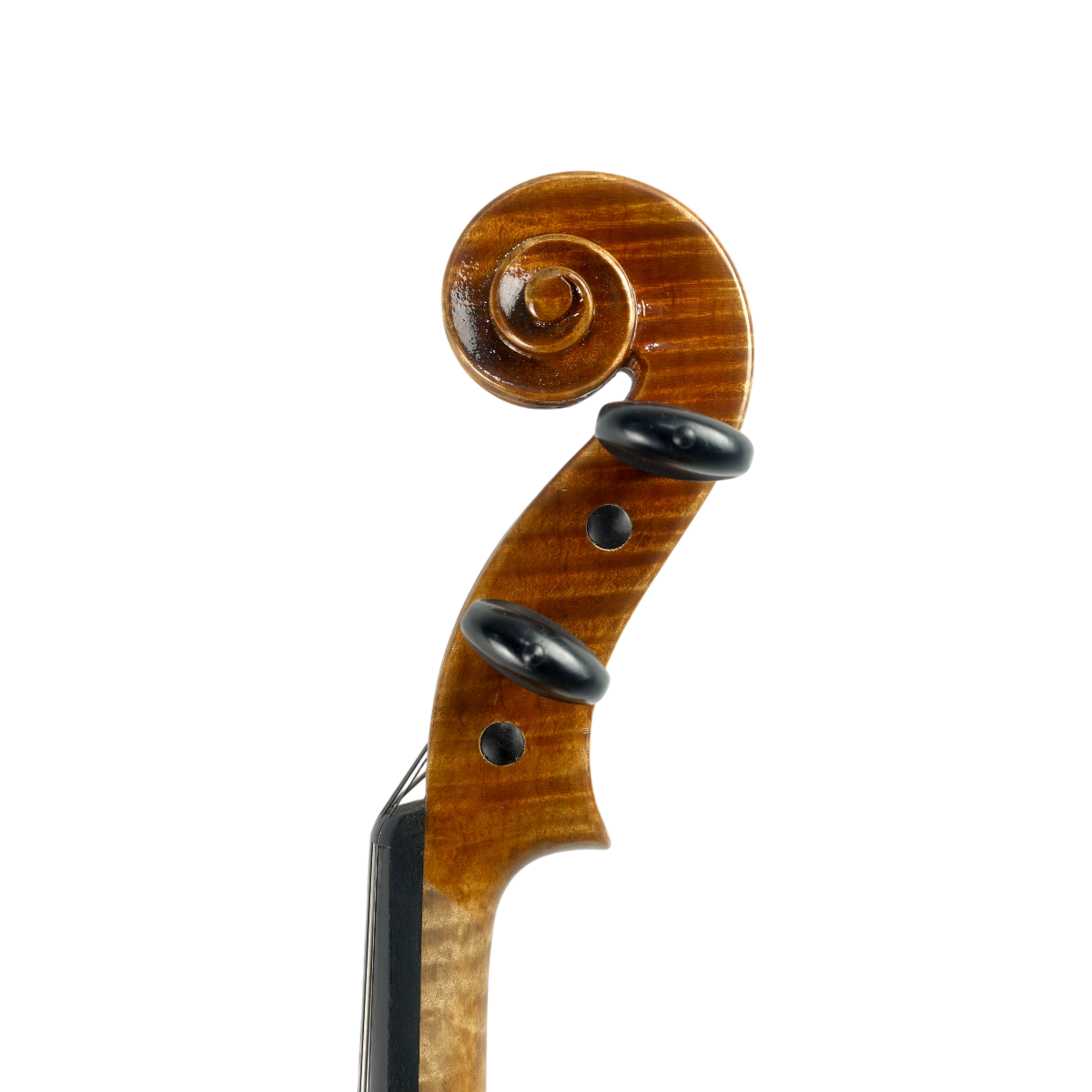 Violino Alfio Bottechia 2025 n627