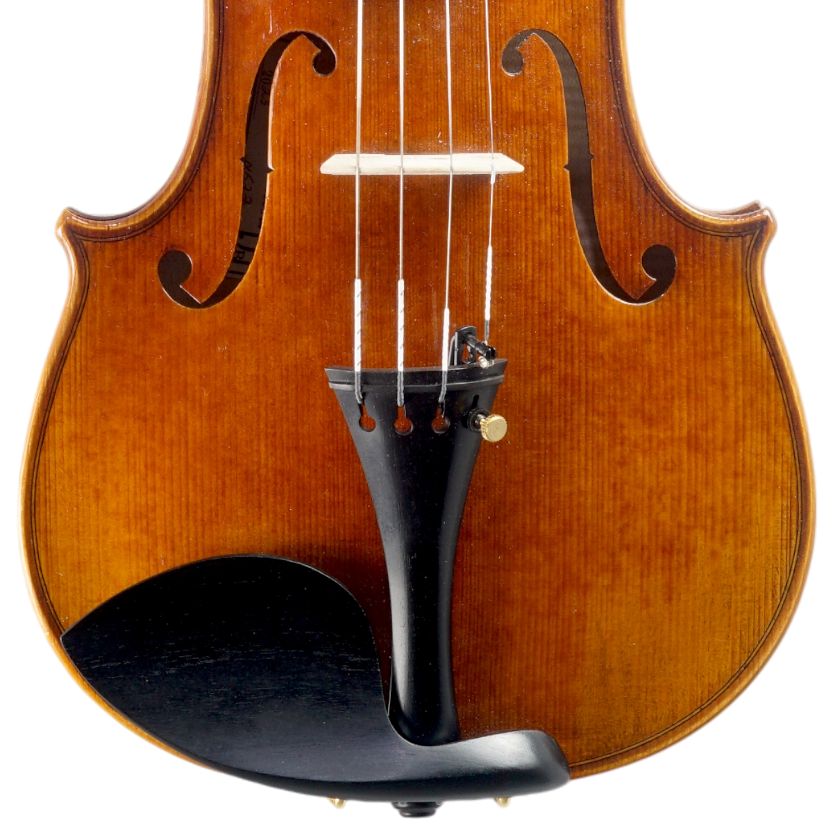Violino Alfio Bottechia 2025 n627