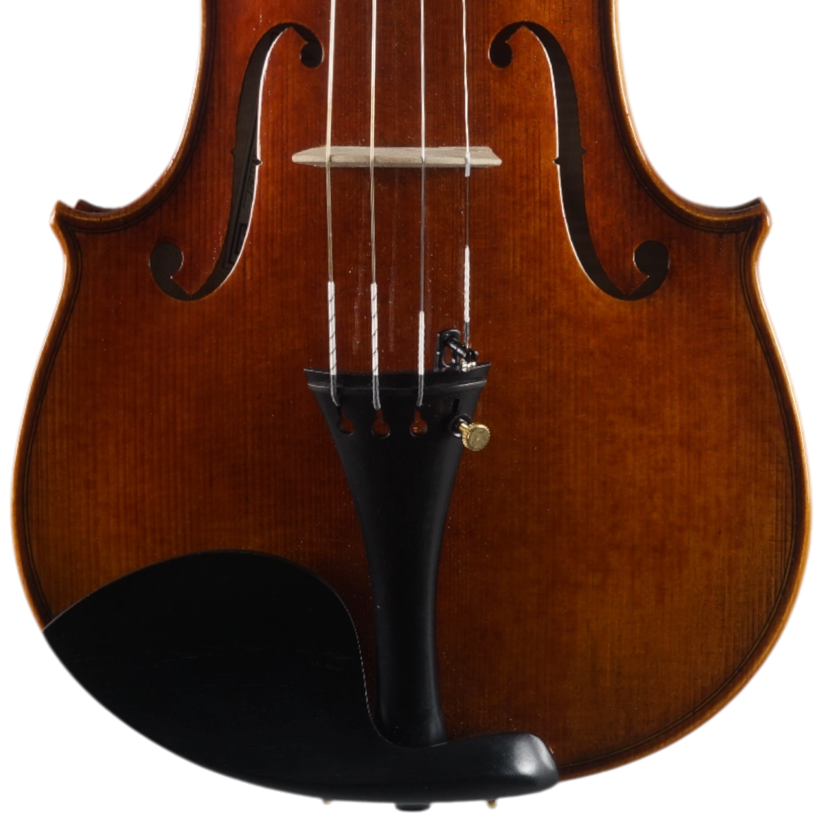  Violino Alfio Bottechia 2025 n627