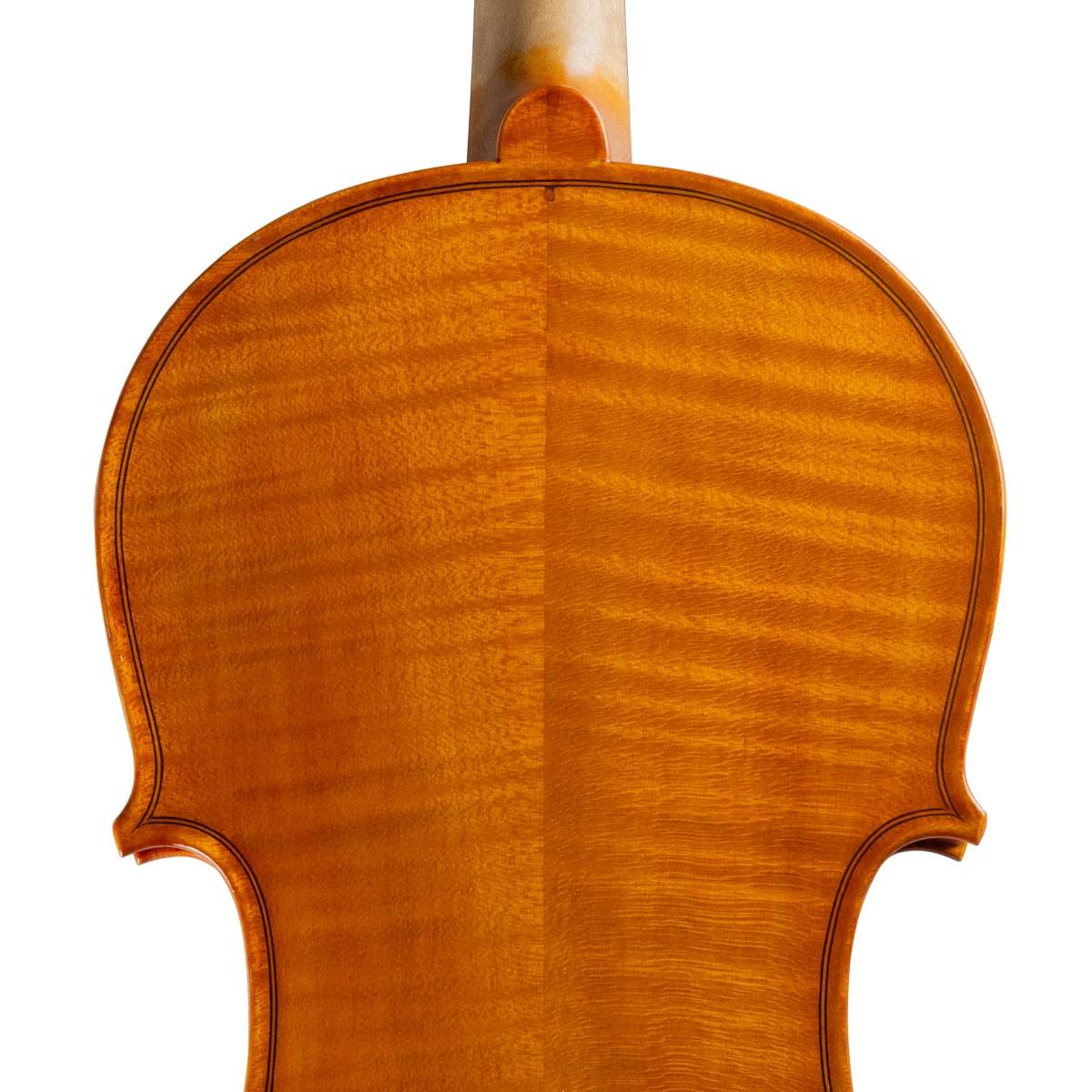 Violino Alison Romano 2024 n586