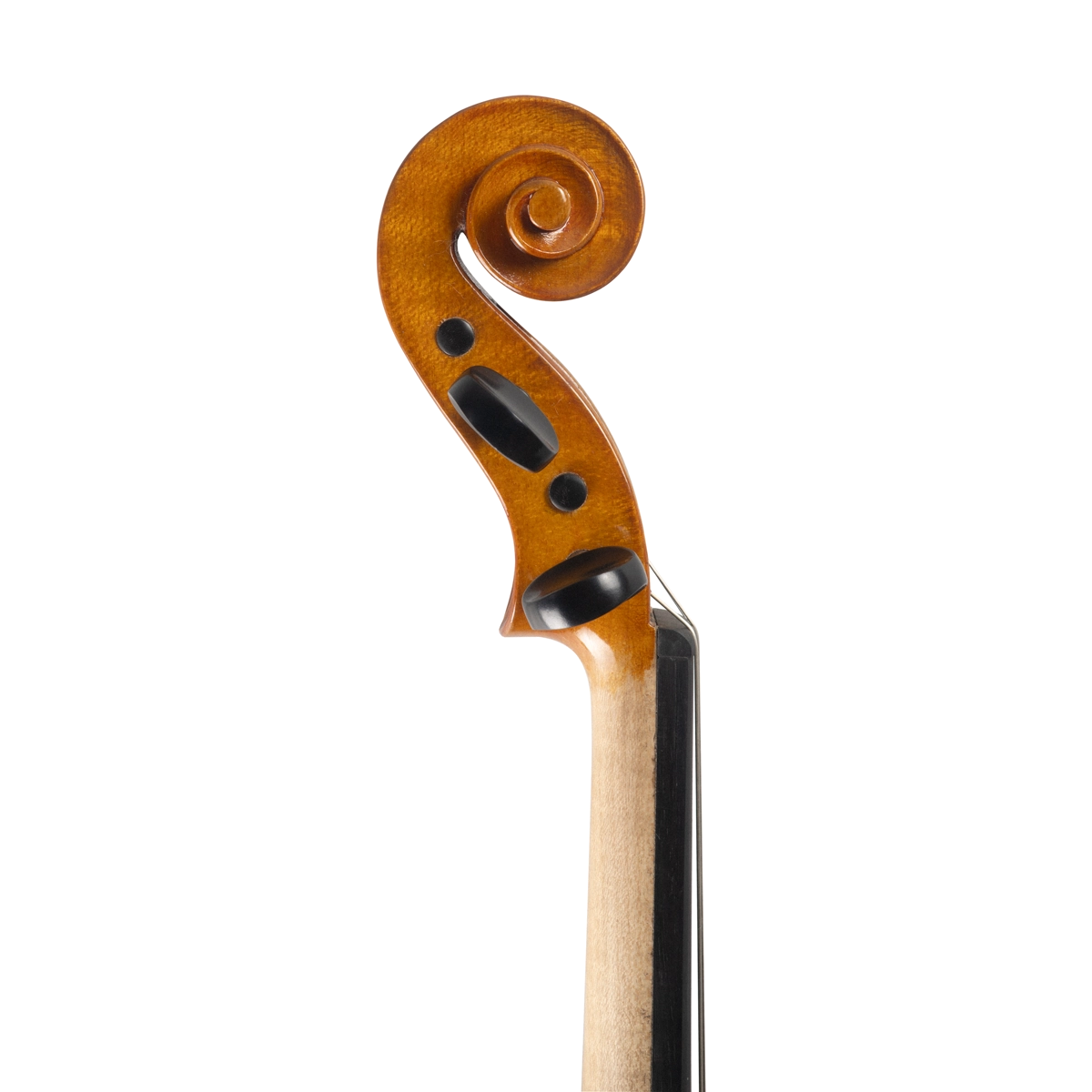 Violino Alison Romano 2024 n586