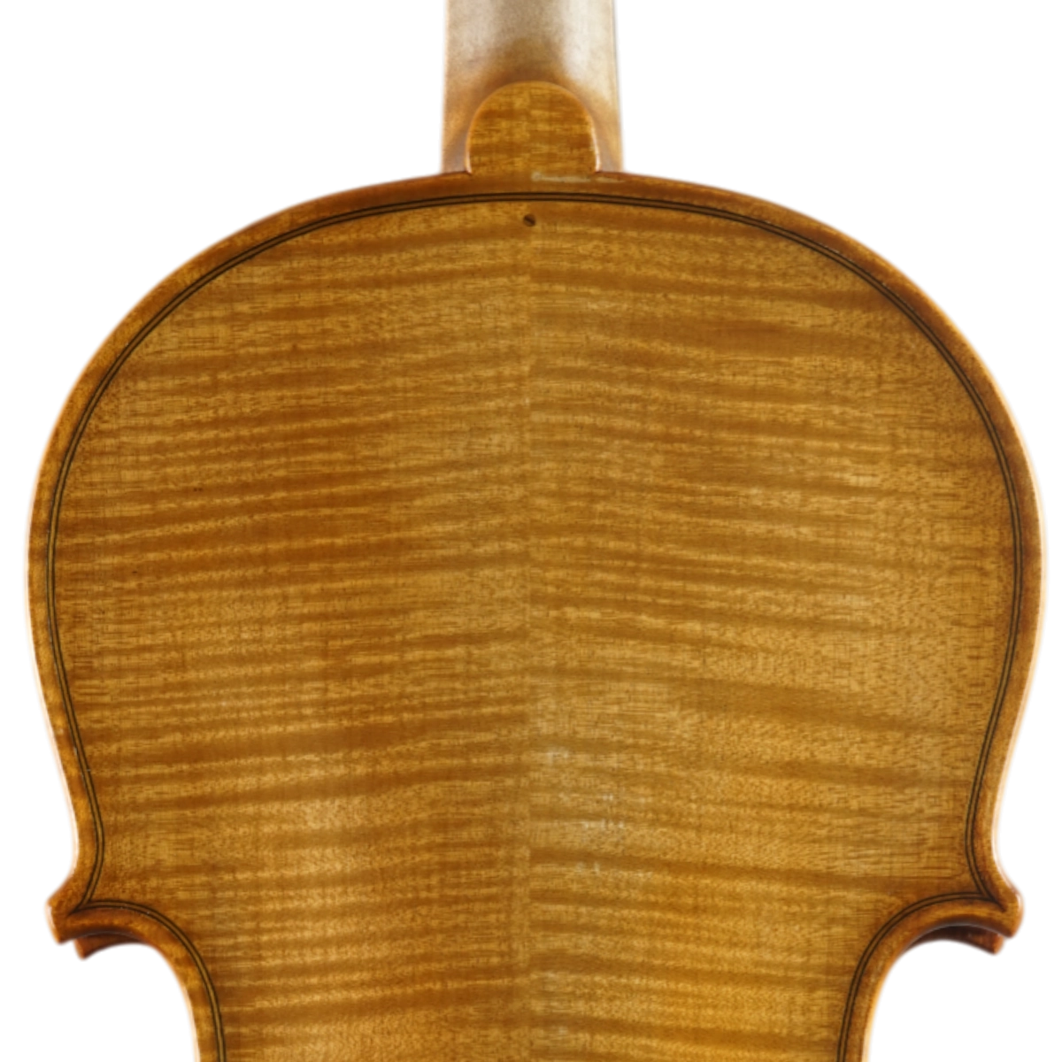  Violino Alison Romano 2025 n633