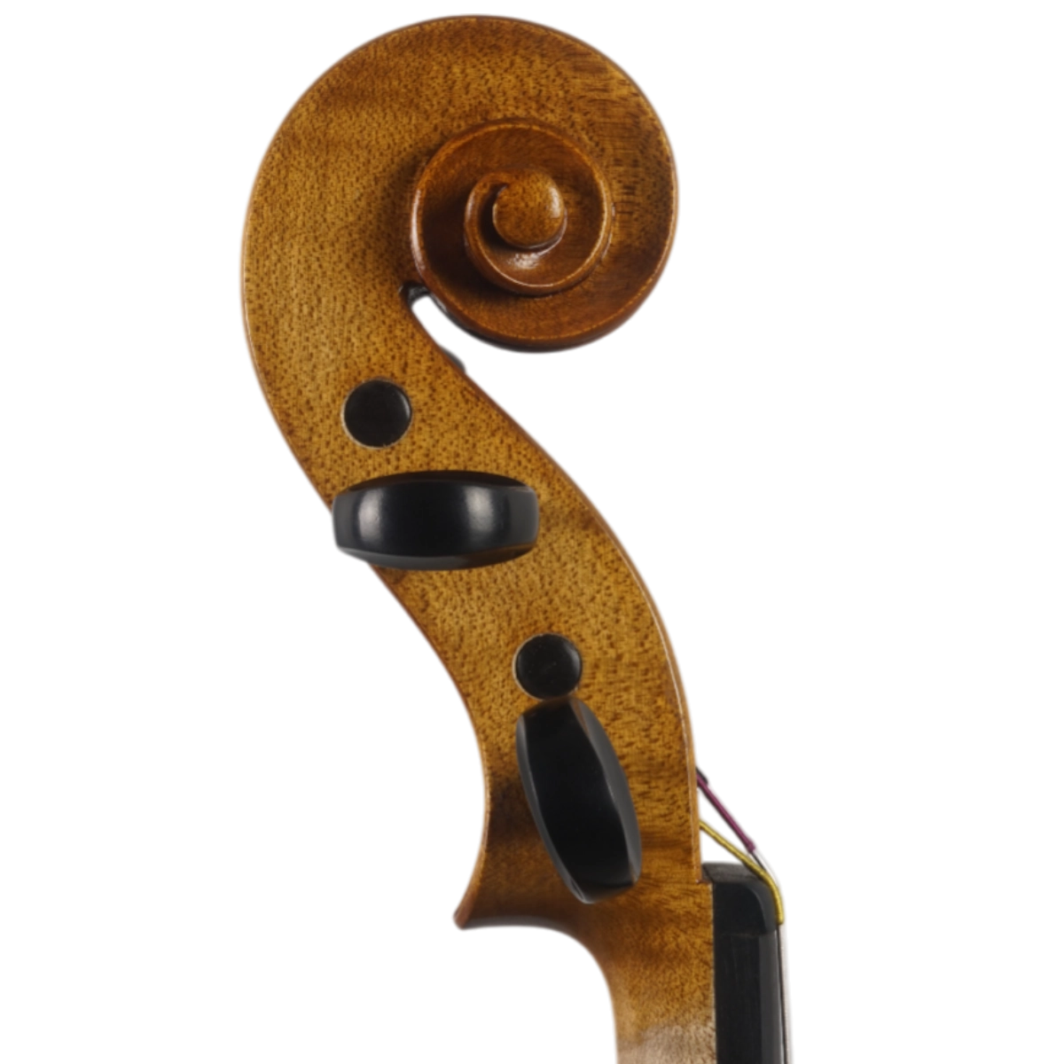 Violino Alison Romano 2025 n633