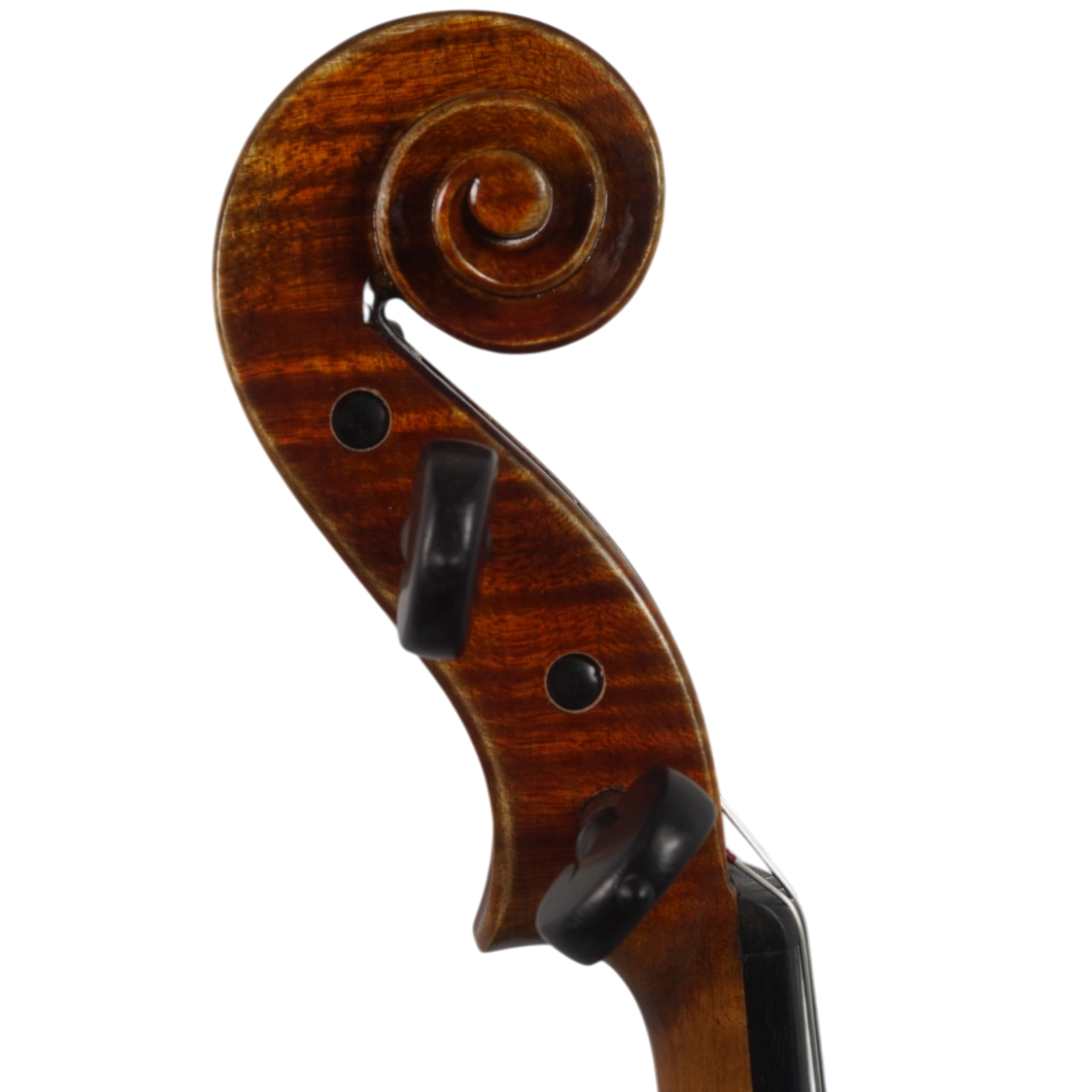 Violino Antoni Marsale Oficina 2025 Grau A n637