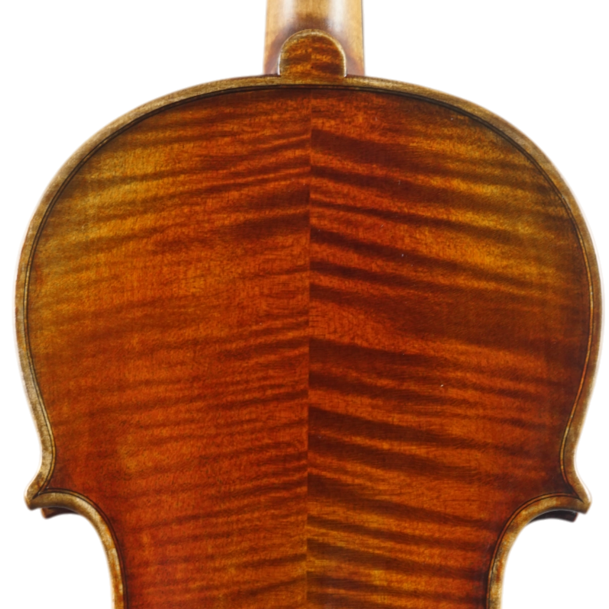 Violino Antoni Marsale Oficina 2025 Grau A n637