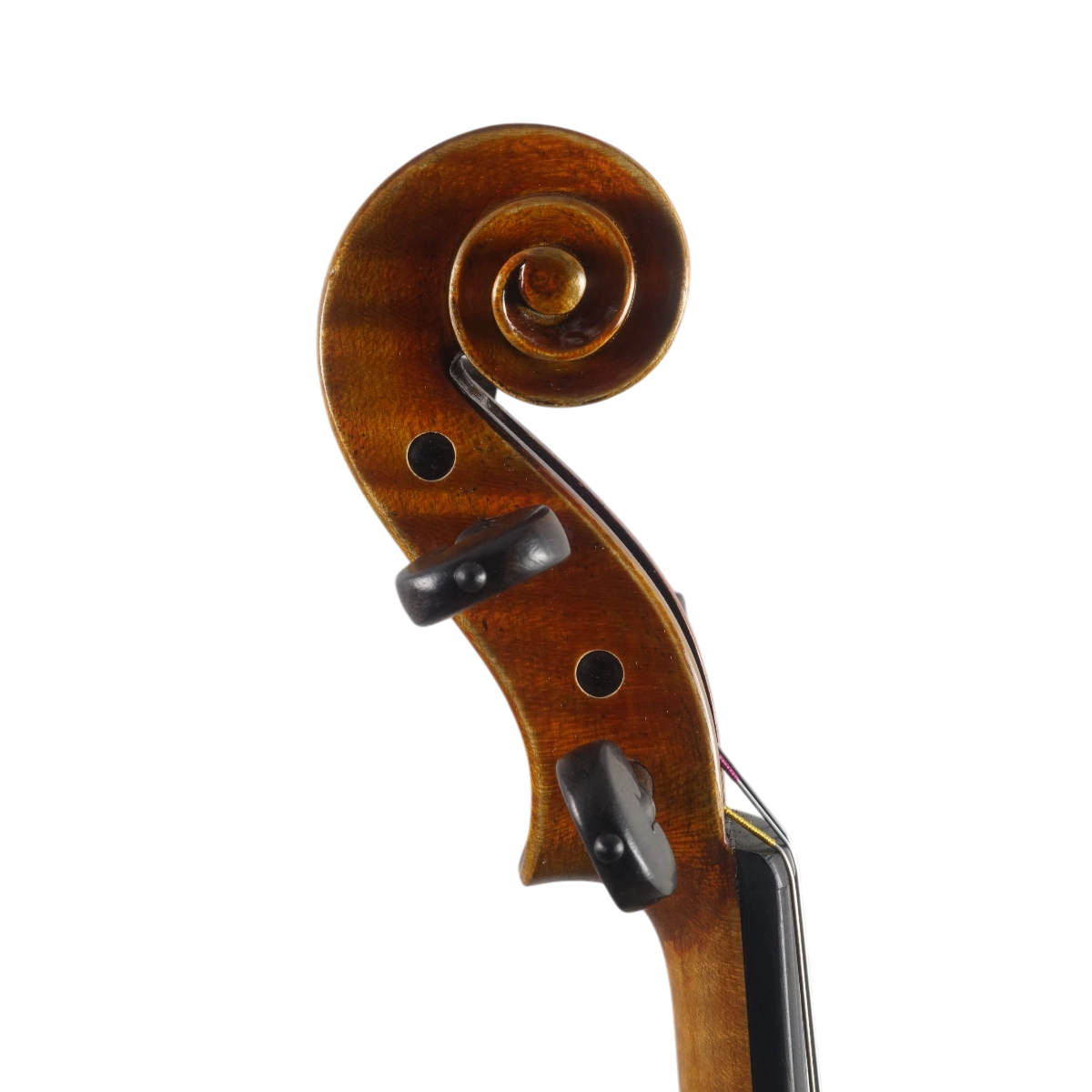 Violino Antoni Marsale Oficina 2025 Grau A n640