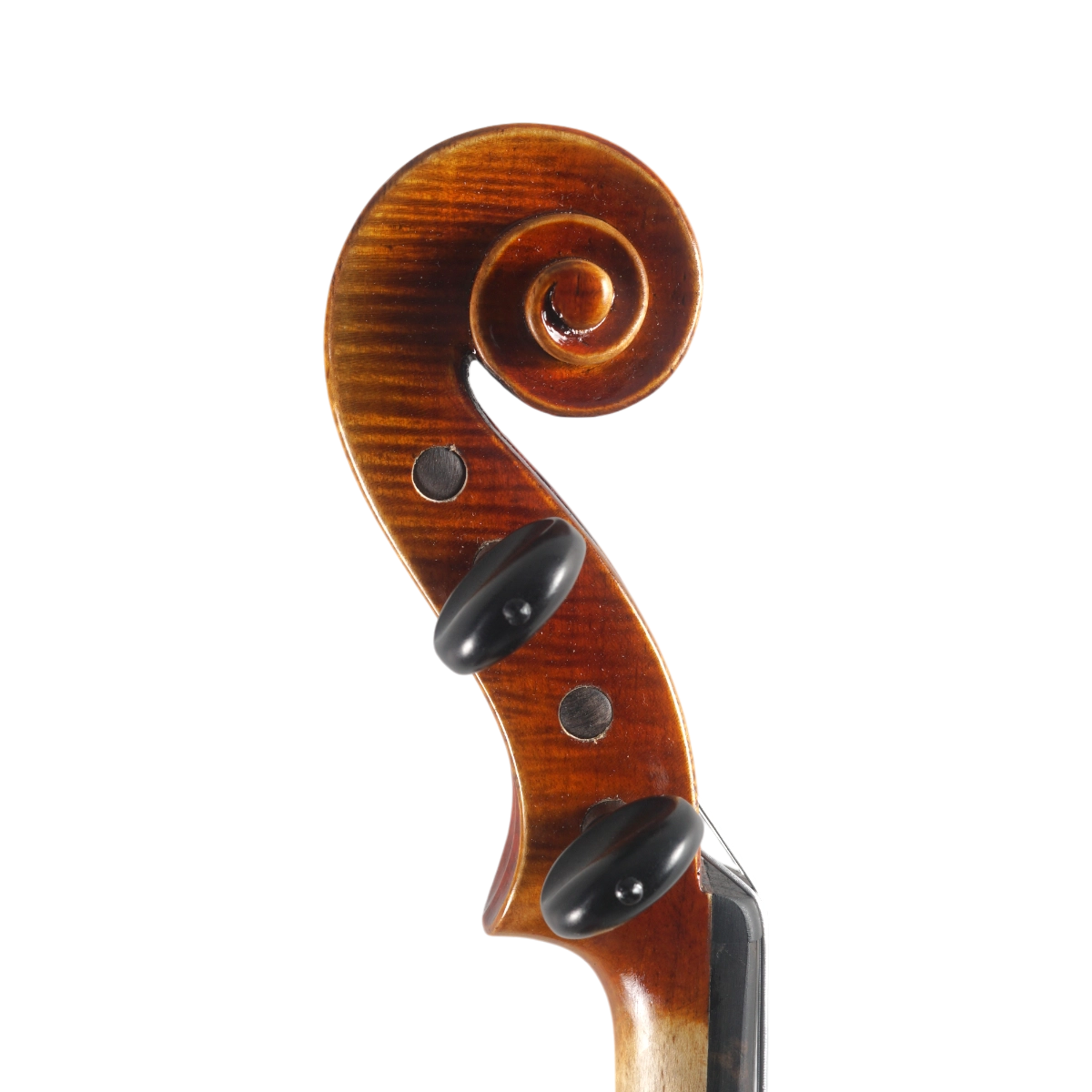 Violino Antoni Marsale Oficina 2025 Grau A n67