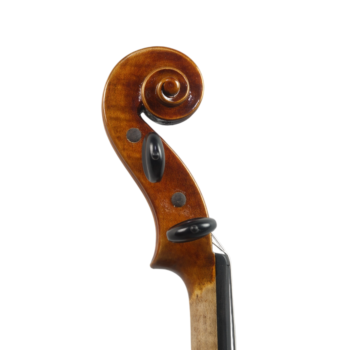 Violino Antoni Marsale Oficina 2025 Grau AA n734