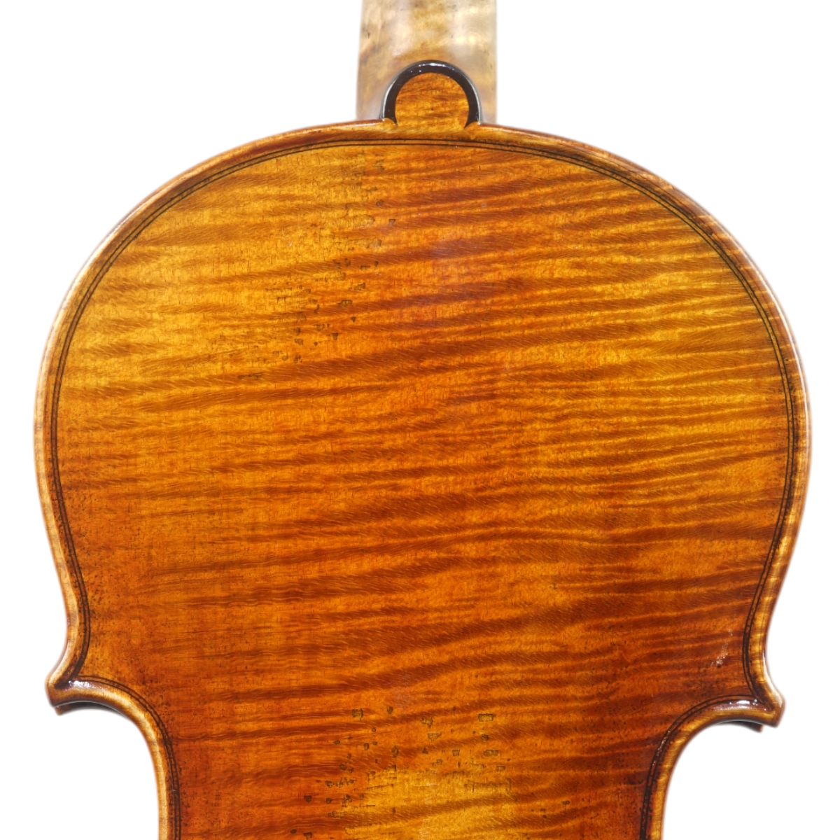 Violino Antoni Marsale Oficina 2025 Grau AA n735