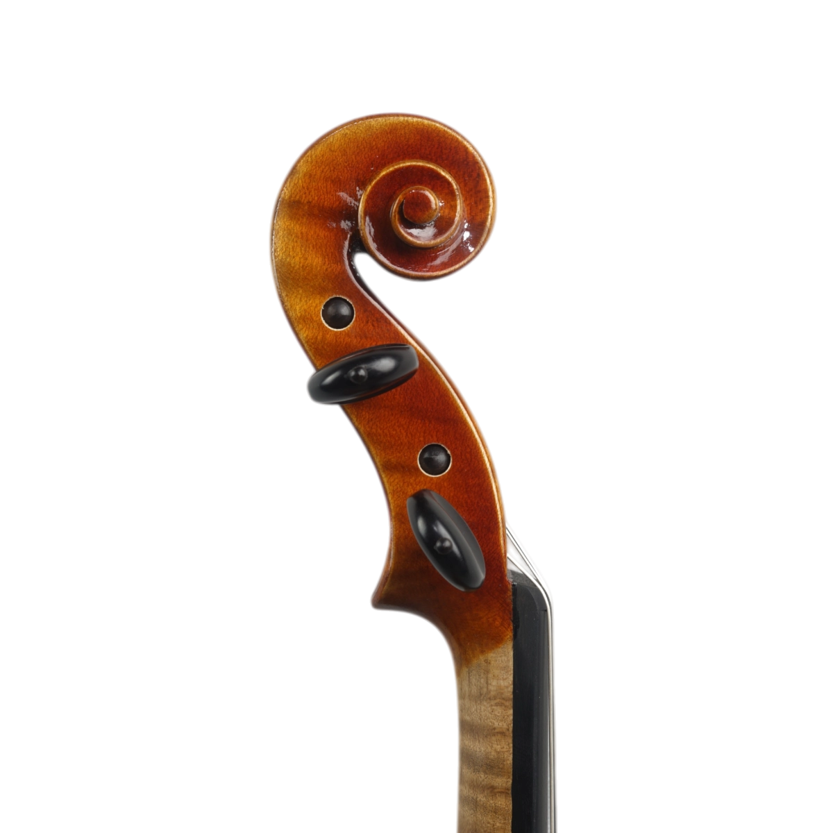 Violino Antoni Marsale Oficina 2026 Grau A n766