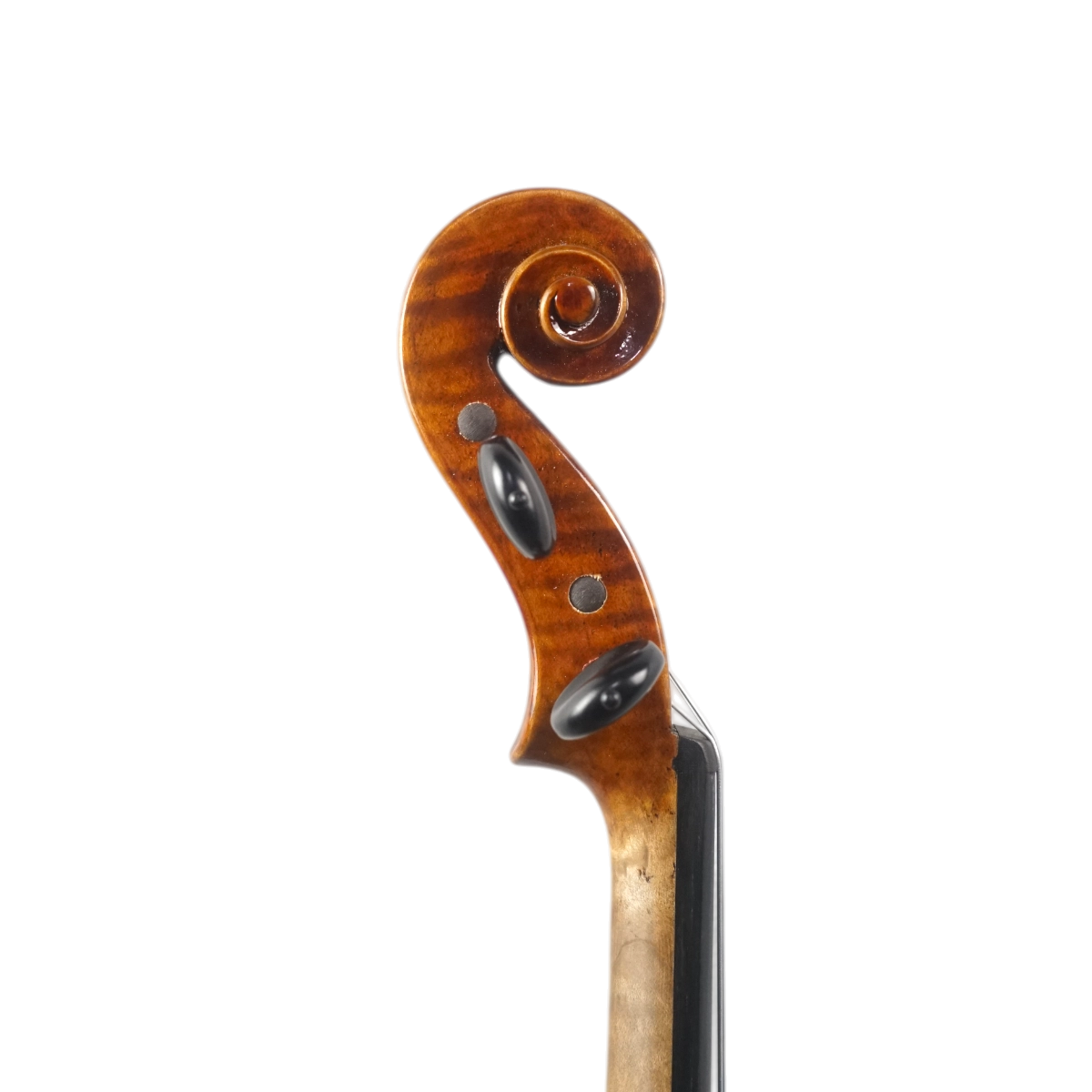 Violino Antoni Marsale Oficina 2026 Grau AA n800