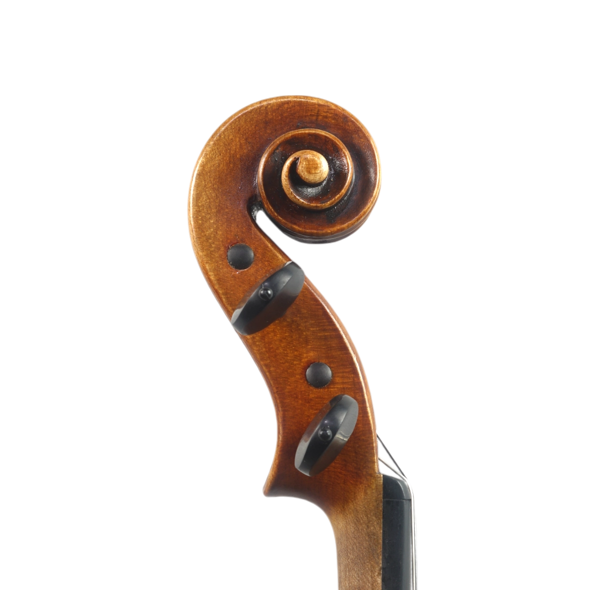  Violino Atelier Fachinetti 2025 Guarneri n739