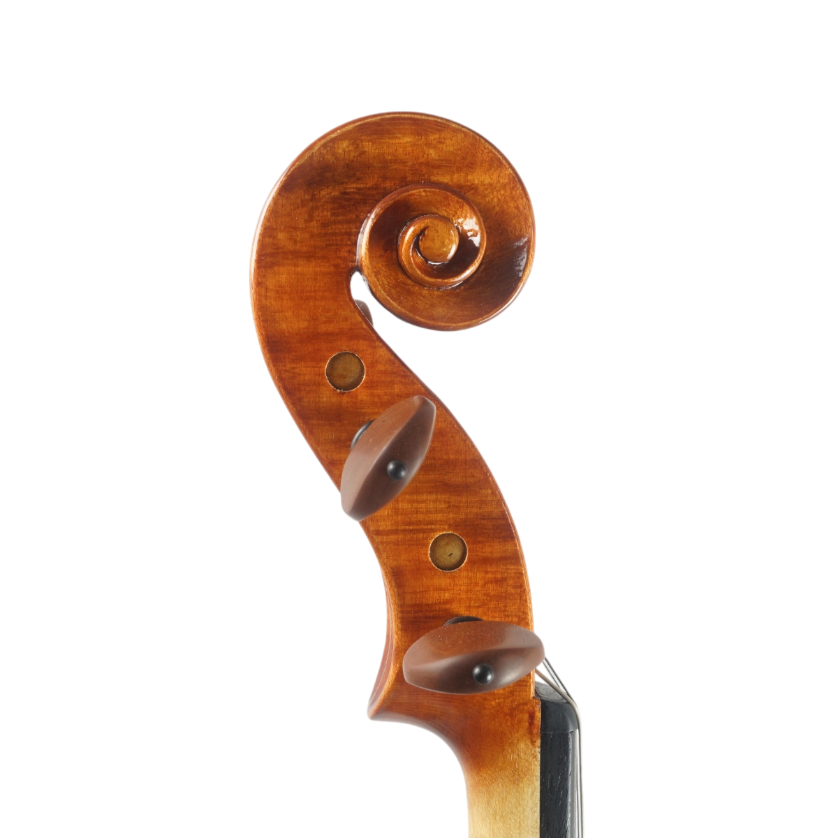 Violino Diego Castro 2025 n665