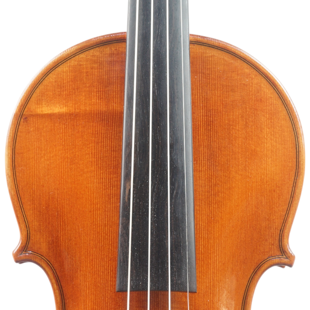 Violino Diego Castro 2025 n665