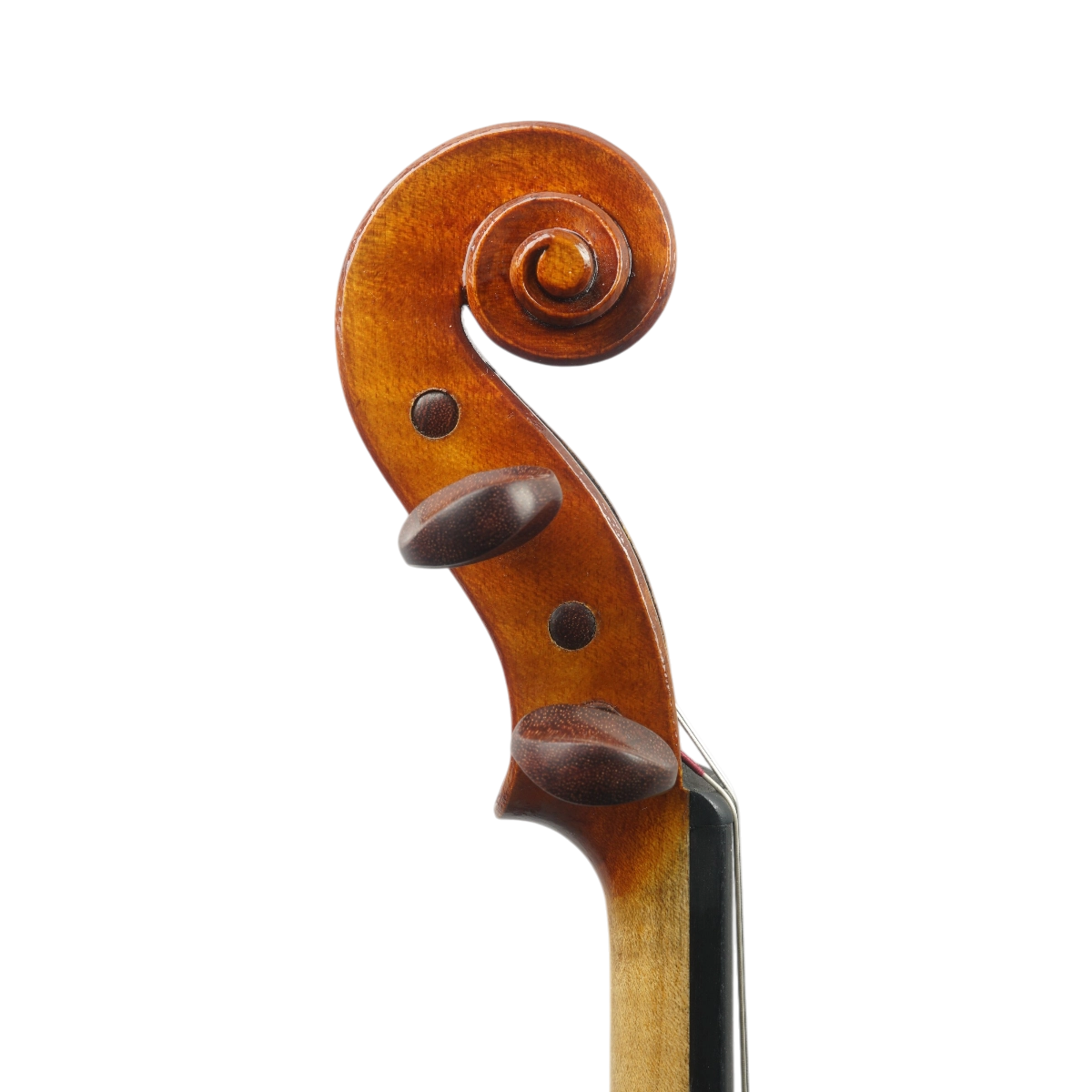 Violino Éderson Amorim 2025 Guarneri 1743 n653