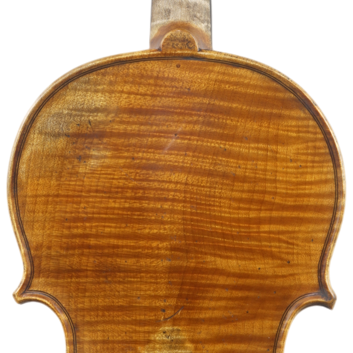  Violino Luthier Adriano Alberge 2025 n727