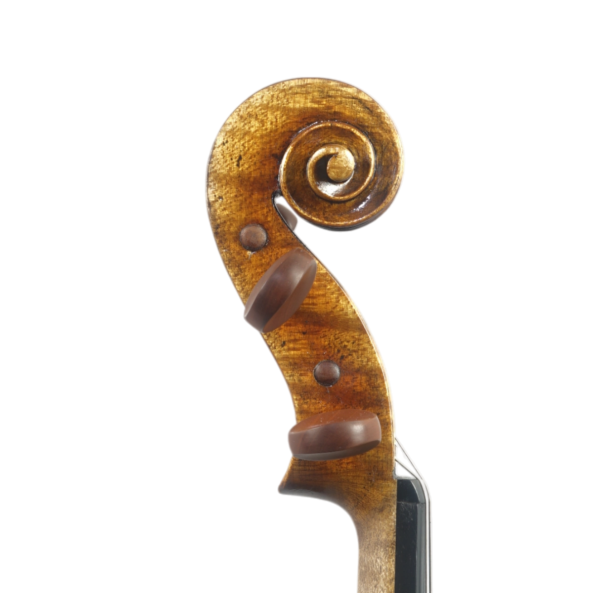  Violino Luthier Adriano Alberge 2025 n728