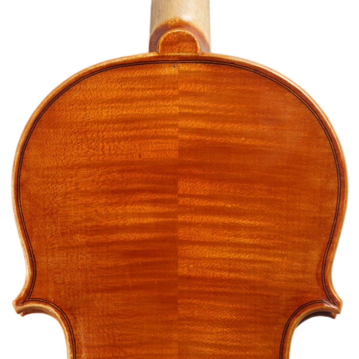Violino Luthier Danilo Barbalho 2025 Stradivari Mediceo n695