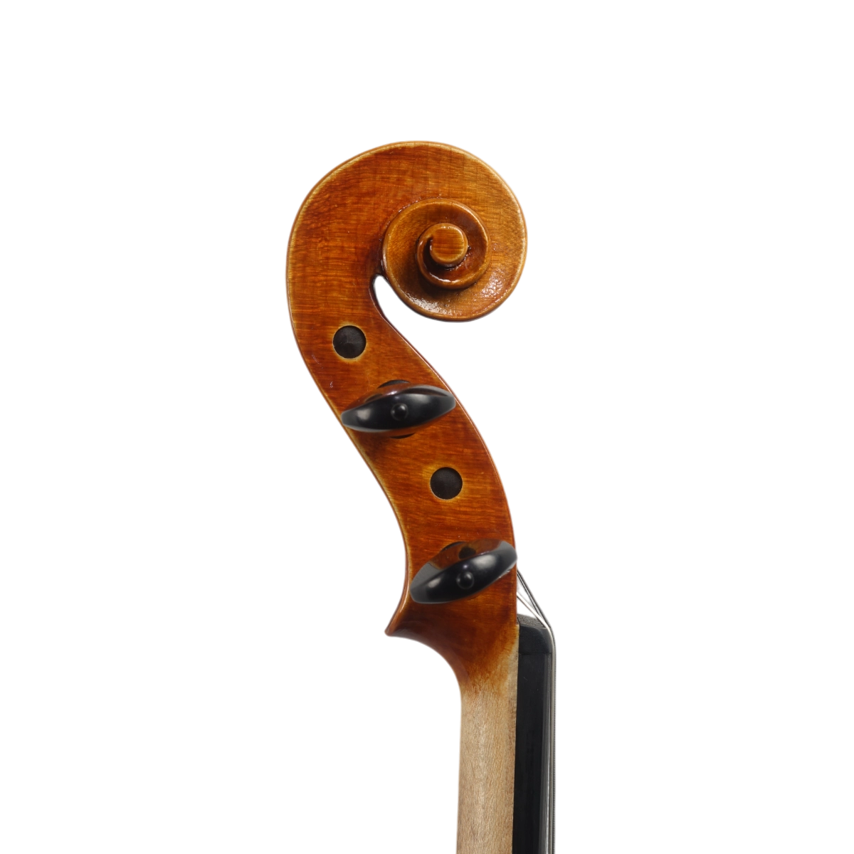 Violino Luthier Danilo Barbalho 2025 Stradivari Mediceo n695